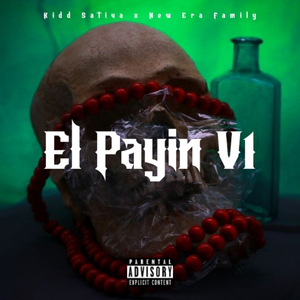 El Pallin V1