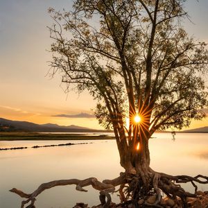 多想做个哑巴 (高潮版)）