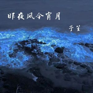 昨夜风今宵月【温柔女版】