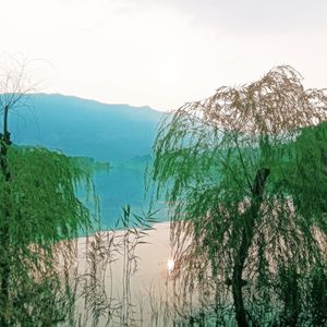 君醉相思（纯音乐）