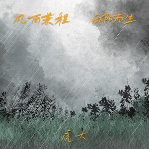 风雨兼程向阳生