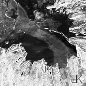 Das (ntrnsgnt Remix)