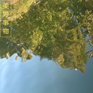 美好事物(Cover 房东的猫)