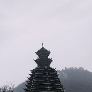 悟空忘己是妖