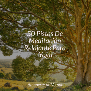 Sombras Encantadas Balanceándose