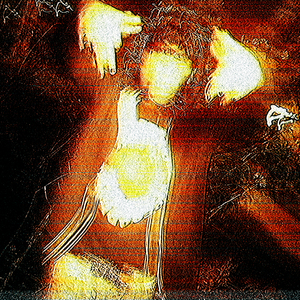 YO NUNCA HE SIDO APELIGRADO