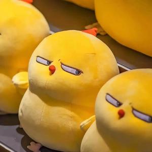 你终会遇到和你同频共振的人(Live)