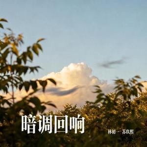 暗调回响