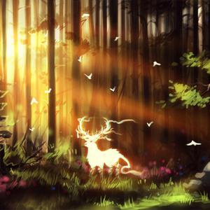 A Tale of Unexplored Worlds