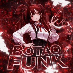 BOTAOFUNK