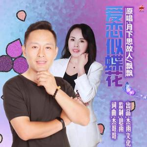 爱恋似蝶花 伴奏