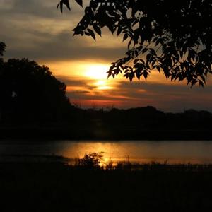 多情种（Cover：要不要买菜）