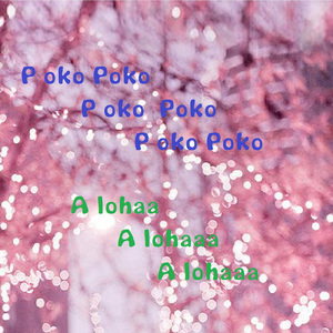 P oko P oko