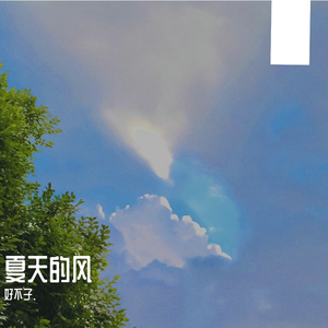 夏天的风