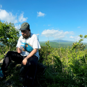 벌레들의 움직임