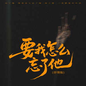 要我怎么忘了他(抒情版)