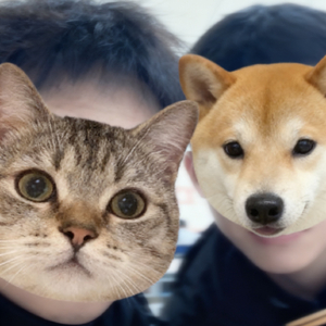 我是不是你的最爱