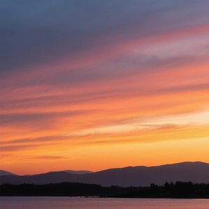 心无俗虑自清纯