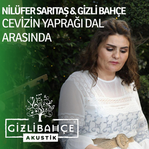 Cevizin Yaprağı Dal Arasında (Akustik)