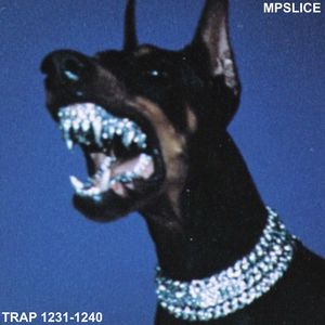 TRAP ONE THOUSAND N TWO HUNDRED N THIRTY ONE