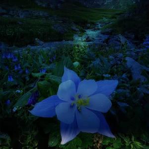 百听不厌 (DJ版)