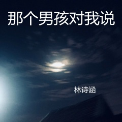 那个男孩对我说