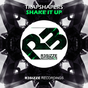 Shake It Up (Original Mix)