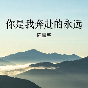 你是我奔赴的永远