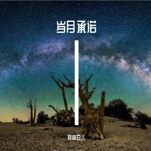 岁月承诺