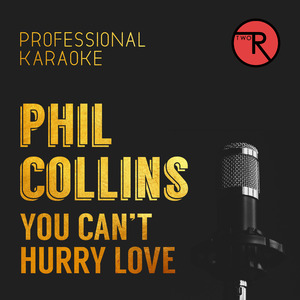 You Can't Hurry Love (Backing Track)