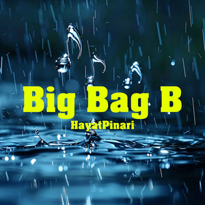 Big Bag B
