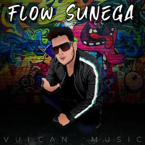 Flow Sunega
