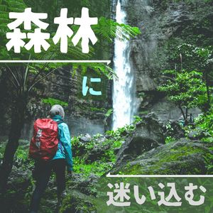 森林に迷い込む