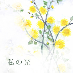 私の光