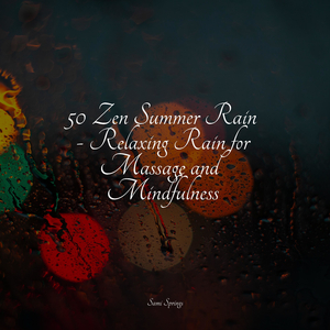 Seagulls on the Beach (Relaxing Ocean Waves)