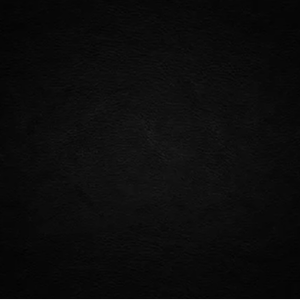 下一次爱情来的时候