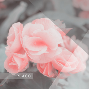 진심이면 뭐 어때