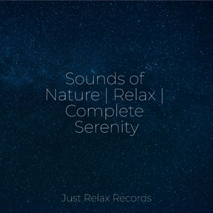 Lost in Wander's Wake