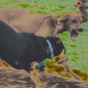 Next (feat. Gramattyk)