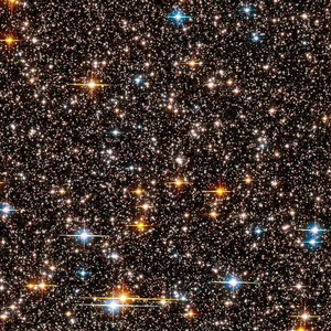 MOOLI（Prodby金桔orang3）