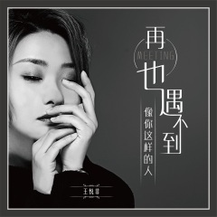 再也遇不到像你这样的人