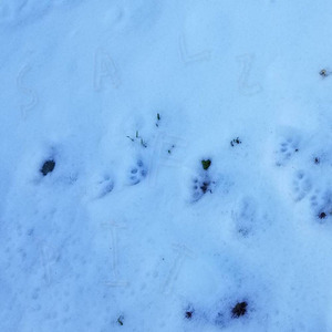 銀壁の舞 (Inst Ver.)