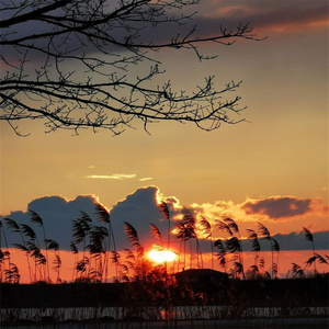 指尖划过的岁月