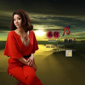 为何要伤我的心 (广场舞版)