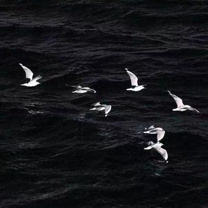 Breathe（Reverb&Slowed）