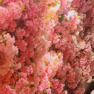 没有名字的歌 prod.by.Mocookie