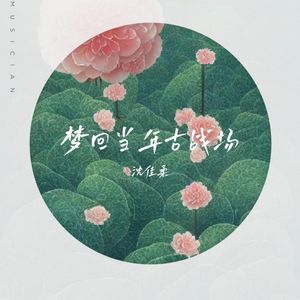 梦回当年古战场