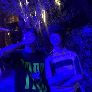 zephyr（和风）freestyle