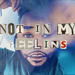 NOT IN MY FEELINS