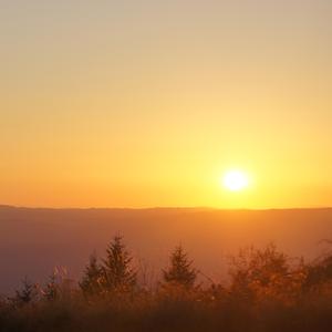 L'HORAIRE DU BOURDON